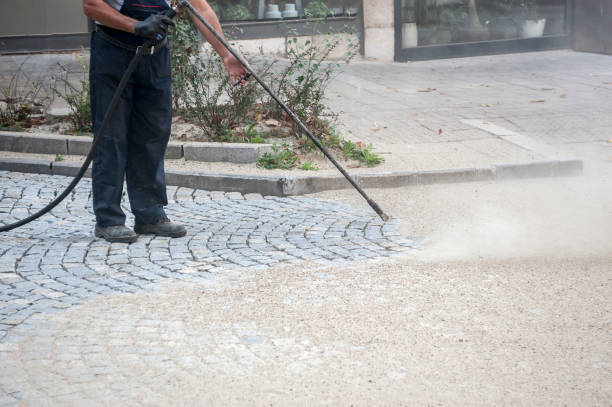 Best Animal Enclosure Cleaning  in Lena, IL